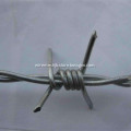 /msite/products/detail/productid/55434680/id/542368.html